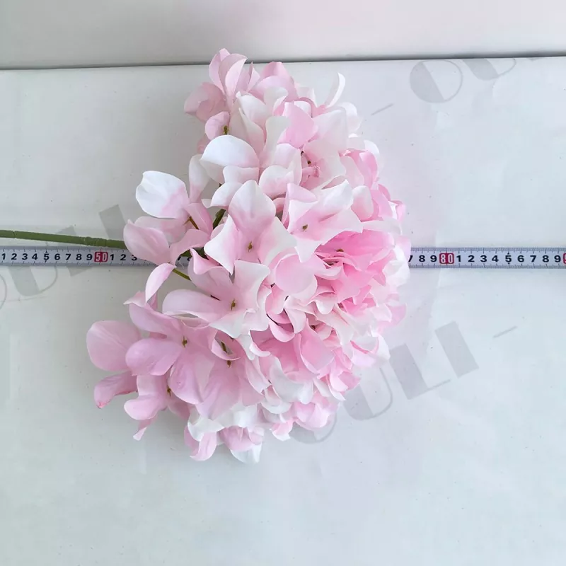 Bunga Hydrangea Besar