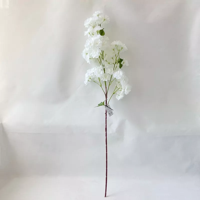 Bunga sutra bunga sakura