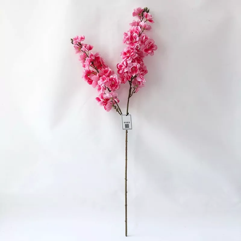 Bunga bunga sakura fuji palsu