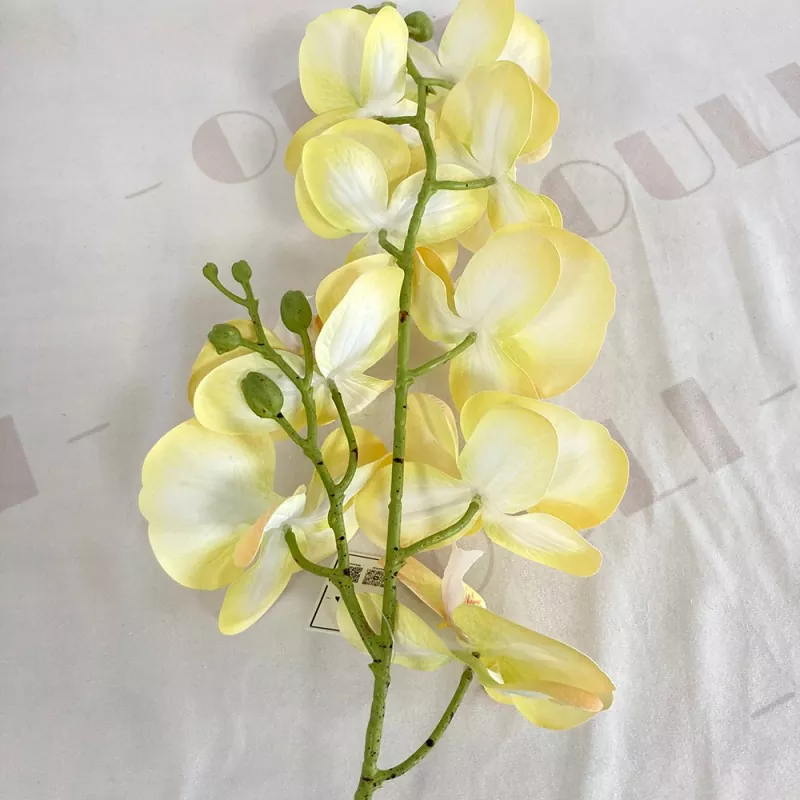 silk orchid company supplier 