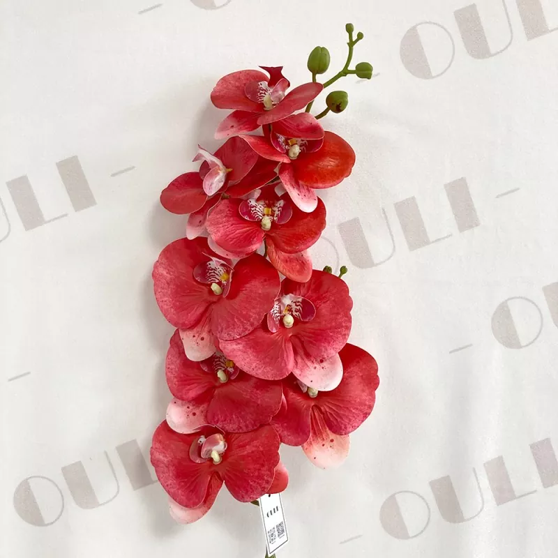silk orchid with realistic roots 