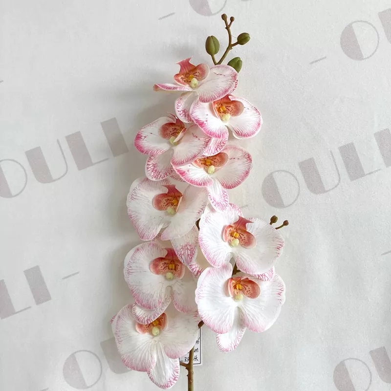 wholesale latex phalaenopsis orchid 