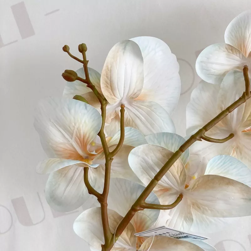 phalaenopsis orchid silk flowers wholesale 
