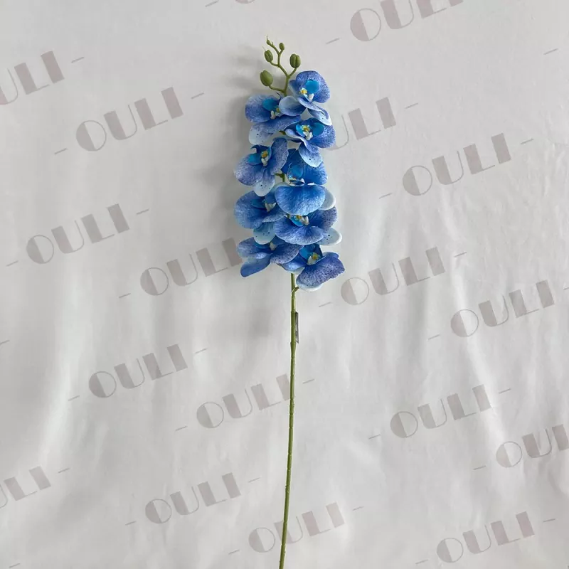Anggrek palsu multi -warna