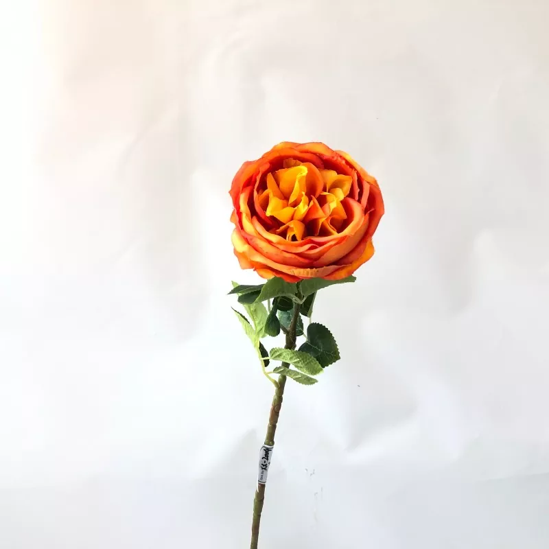 Bunga peony putih palsu